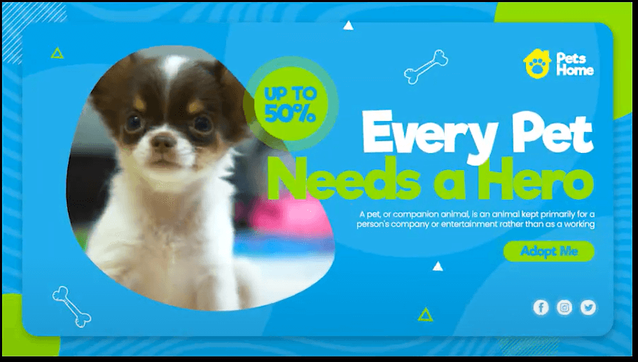 Video-Sample Pet Adoption